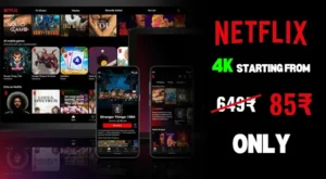 Cheap Netflix accounts with affordable subscription plans and popular shows